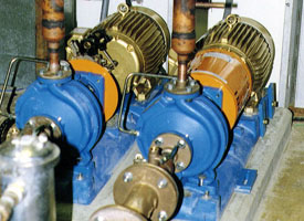 jackscrew on pump